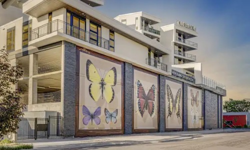 a building with butterfly paintings